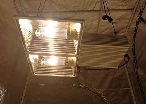 580µmol/s 164ft CMH Grow Lights Spektrum Penuh 630W