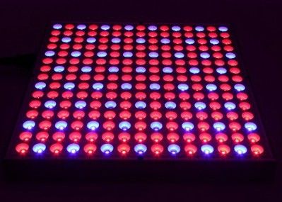 38W 0.5m2/0.3m Hidroponik Led Grow Lights 45W Flat Panel Indoor Plants