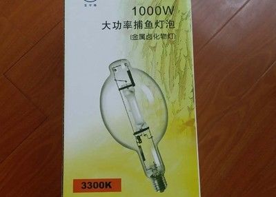 110000 Lumens 8000hrs Grow Lamp Bulb 1000w Fishing Boat Led Penggantian
