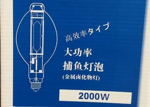 BT220 2000w MH Bulb Fish Lamp HID Metal Halide Squid Fishing Lamp