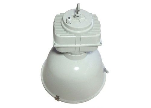 80lm / W HPS Industrial Led Grow Lights, 250W Xenon Lamp Die Casting Aluminium