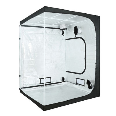 Tenda Tumbuh Hidroponik Lampu Pijar 6,5X6,5 "Pertumbuhan Tanaman Tinggi 200cm