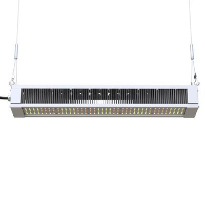RikoLite 240W Spektrum Penuh LED Grow Light Slim Bar, AL1100 Hortikultura LED Grow Lights