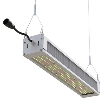 RikoLite 240W Spektrum Penuh LED Grow Light Slim Bar, AL1100 Hortikultura LED Grow Lights