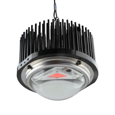 50W DOB Homemade Led Grow Lights, Cob 1M2 Full Spectrum Grow Light Kits
