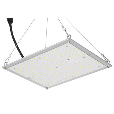 RikoLite 100W 277vac Hidroponik Led Grow Lights Papan Kuantum 167.3umol/S