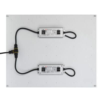 Rikolite 400w High Power Led Grow Lights, 149.6m / W Tanaman Hidroponik Grow Light