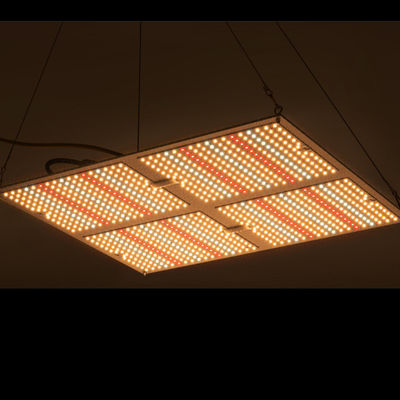 Rikolite 400w High Power Led Grow Lights, 149.6m / W Tanaman Hidroponik Grow Light