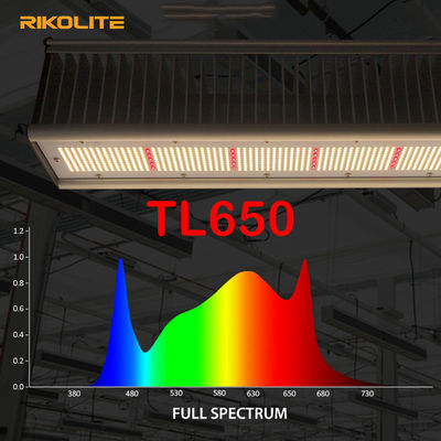 TL650 PAR 1755umol / S Rumah Kaca Led Grow Lights 630W Untuk Sayuran / Bunga