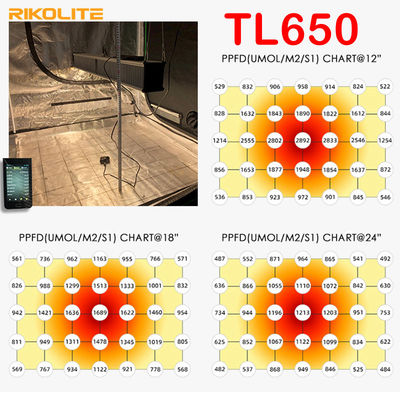 TL650 PAR 1755umol / S Rumah Kaca Led Grow Lights 630W Untuk Sayuran / Bunga