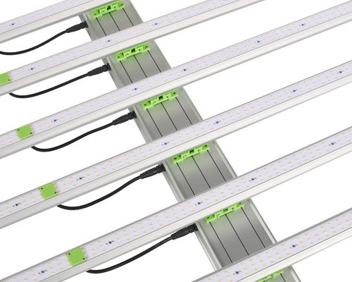 600W 1560μMol Plant LED Grow Lights 6 Bar EPAR 380nm-760nm