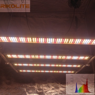 Galaxy 2835SMD LED 240W 4 Bar Lampu Tumbuh Tanaman Lipat 0 - 10V Dapat Diredupkan