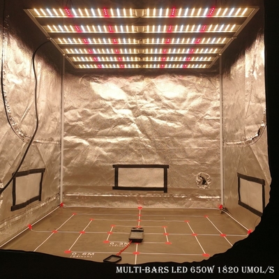 RikoLite 650W 1820umol/S 6 Bar Lampu Rumah Kaca LED Tumbuh