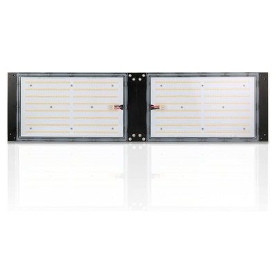 Waterproof IP65 LED Herb Grow Light 240W SAMSUNG Quantum Board Untuk Pertanian