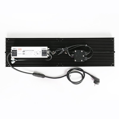 Waterproof IP65 LED Herb Grow Light 240W SAMSUNG Quantum Board Untuk Pertanian
