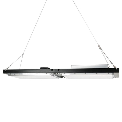 Waterproof IP65 LED Herb Grow Light 240W SAMSUNG Quantum Board Untuk Pertanian
