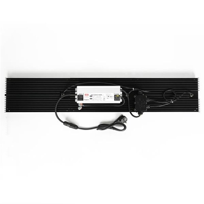 Hidroponik Quantum LED Grow Lights IP65 320w Spektrum Penuh Untuk Sayuran