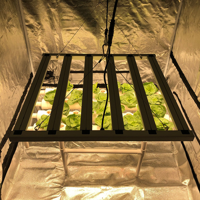Driver Gratis Full Spectrum LED Grow Lights 600w Ballast Kompatibel Untuk Pertanian