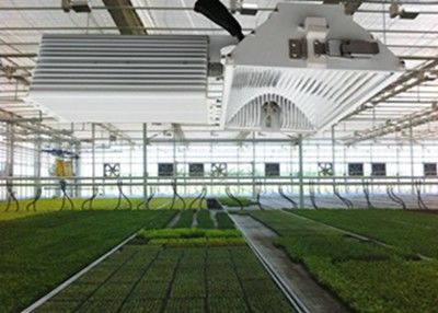 1050µMol / S HID LED Grow Lights, 630W Tanaman Keramik Metal Halide Grow Light