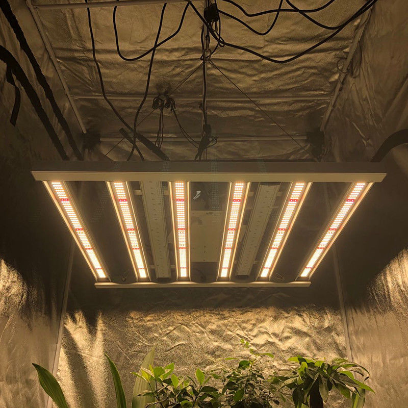 35 Celcius Hortikultura Led Grow Lights 480W 6 Pilar 2.6μMol / J Lights Bar