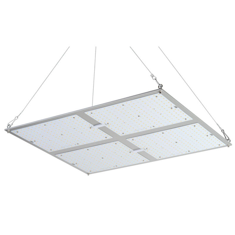 Rikolite 400w High Power Led Grow Lights, 149.6m / W Tanaman Hidroponik Grow Light