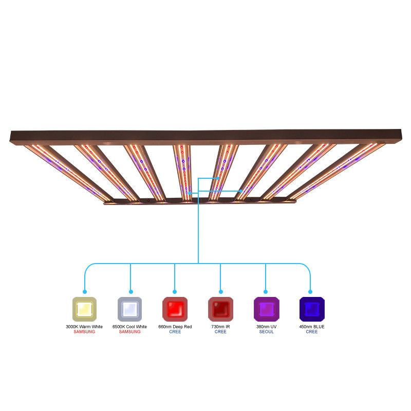 960w 1000w Tanaman Dalam Ruangan Led Grow Lights Untuk Cakupan 6x6 Samsung LM301B